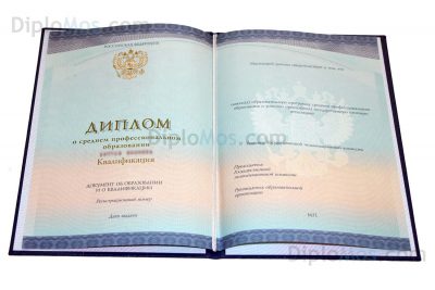 чистый бланк диплома колледжа